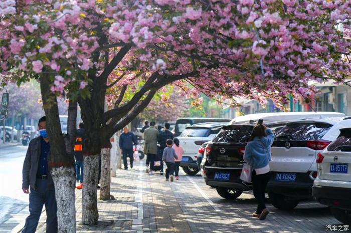 每輛車返5000 鄭州促進(jìn)汽車消費(fèi)出新招
